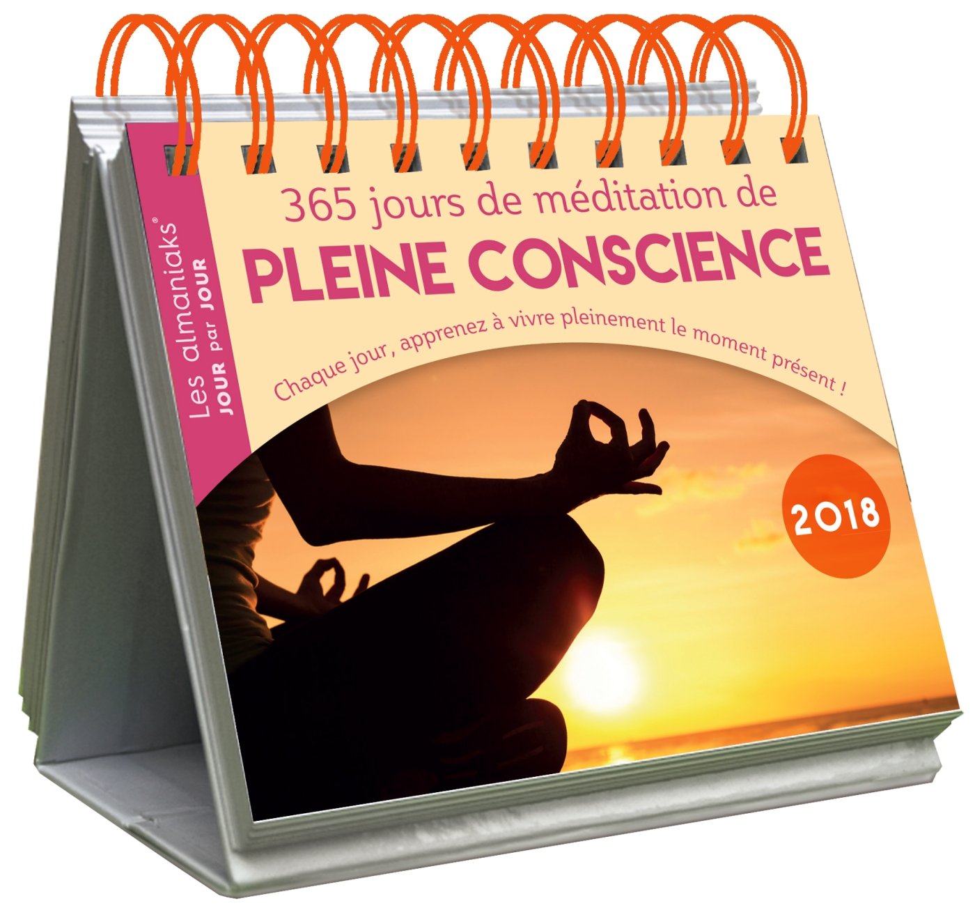 Almaniak 365 jours de méditation de pleine conscience 2018: Chaque jour, apprenez à vivre pleinement le moment présent Books