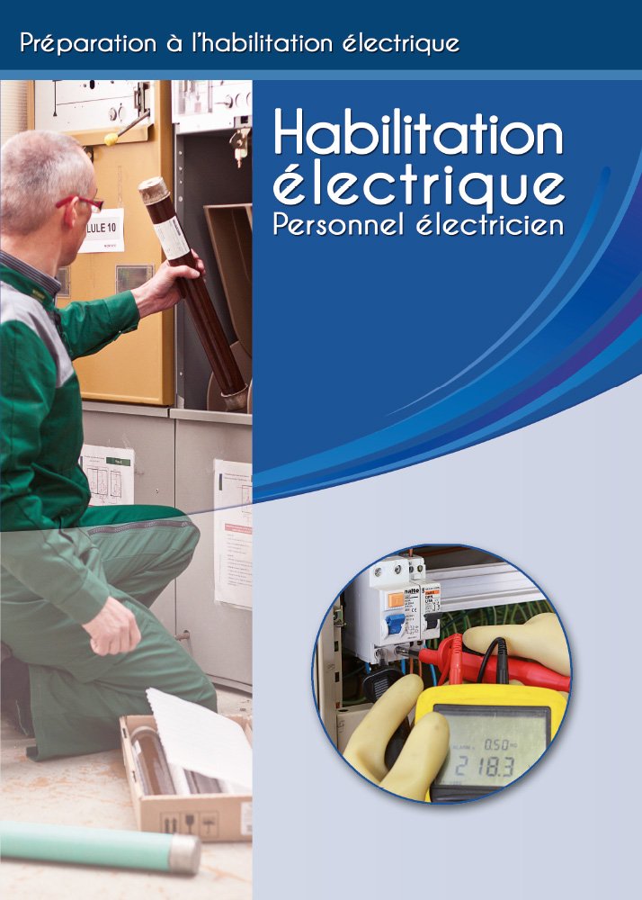 Habilitation électrique Personnel électricien Books
