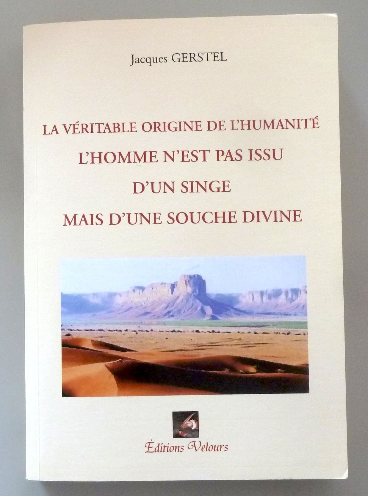 La Véritable Origine de l'Humanité : l'Homme N'Est Pas Issu d'un Singe Mais d'une Souche Divine book