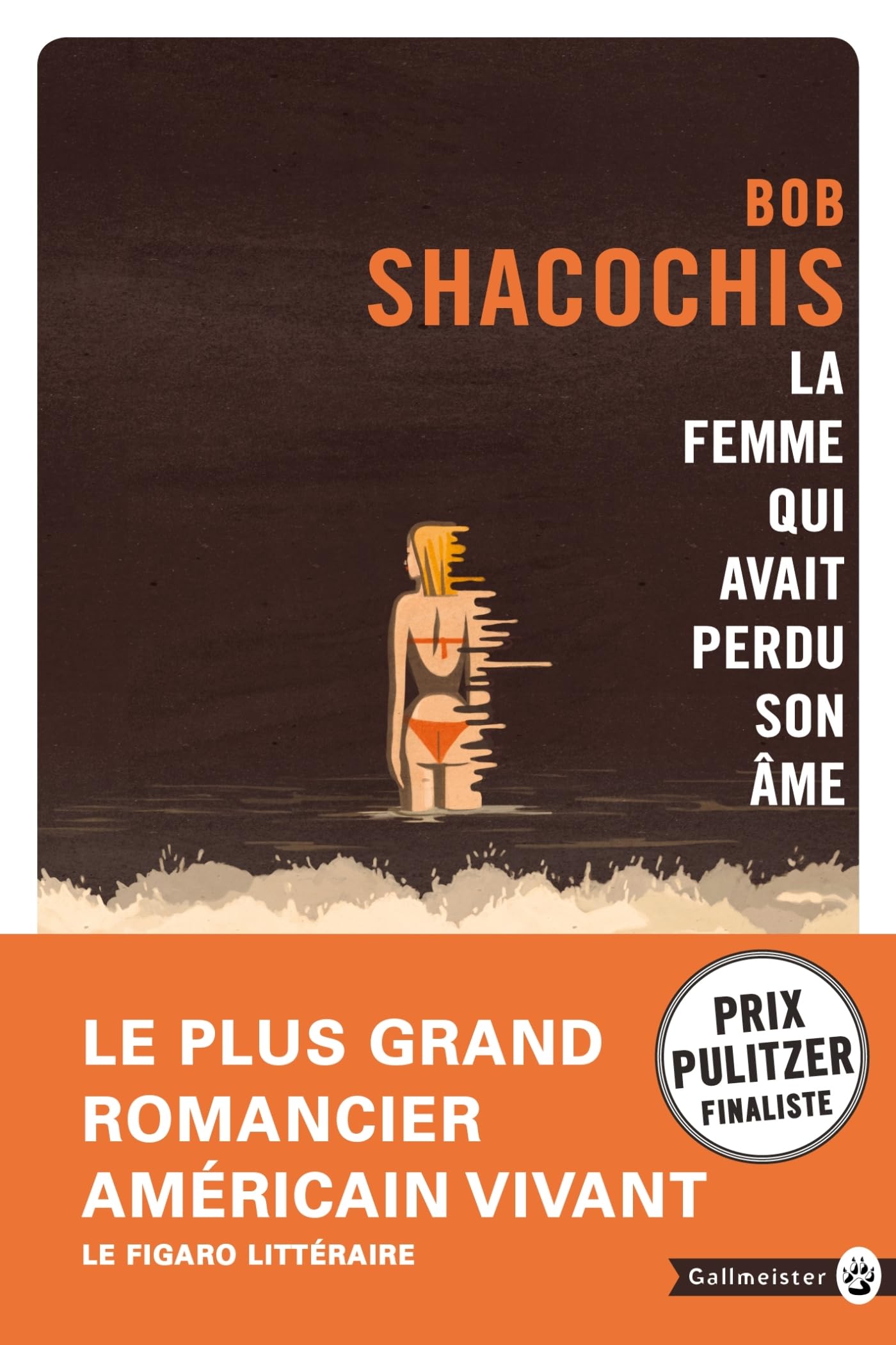 LA FEMME QUI AVAIT PERDU SON ÂME book