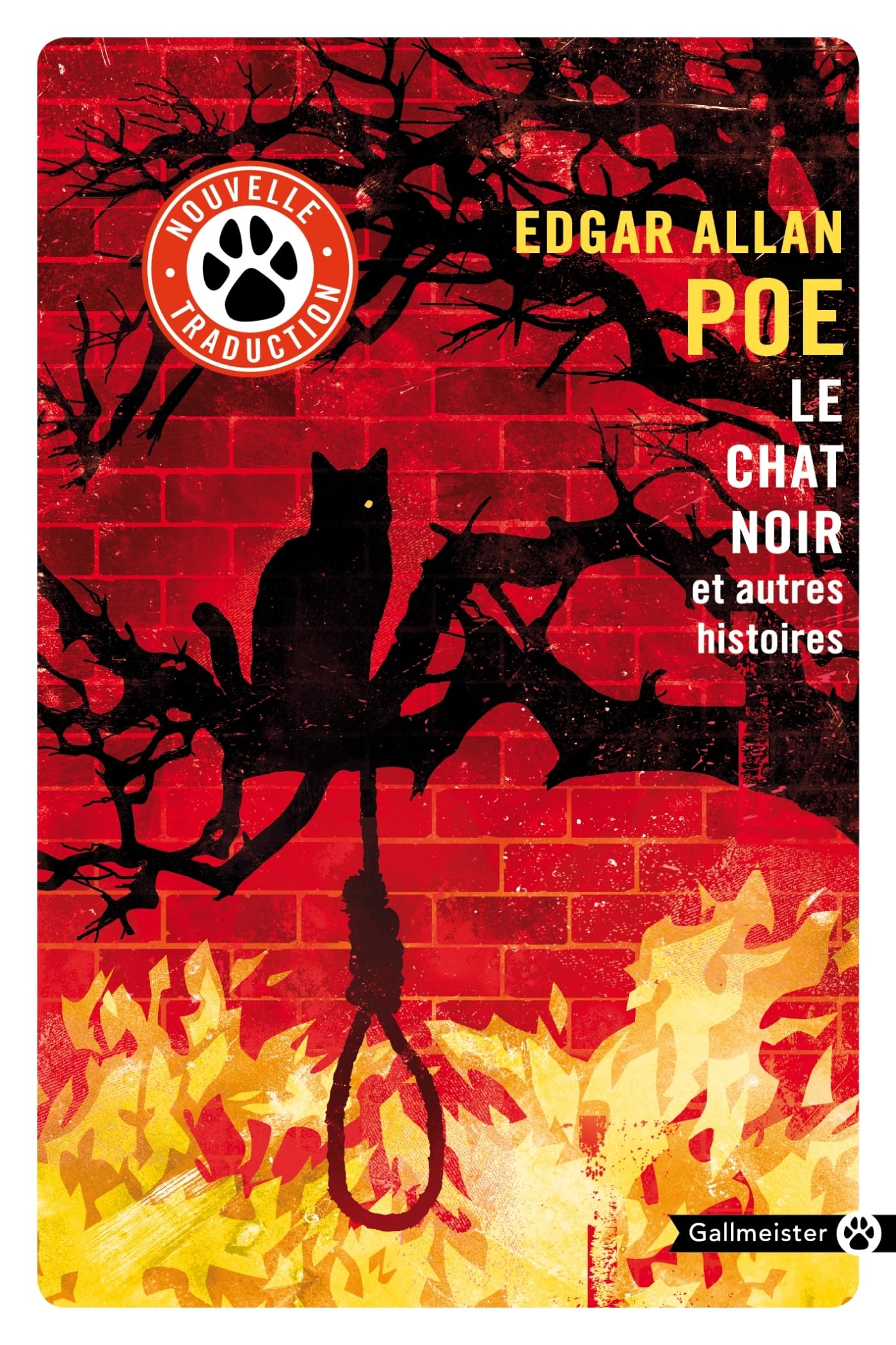 Le chat noir et autres histoires book
