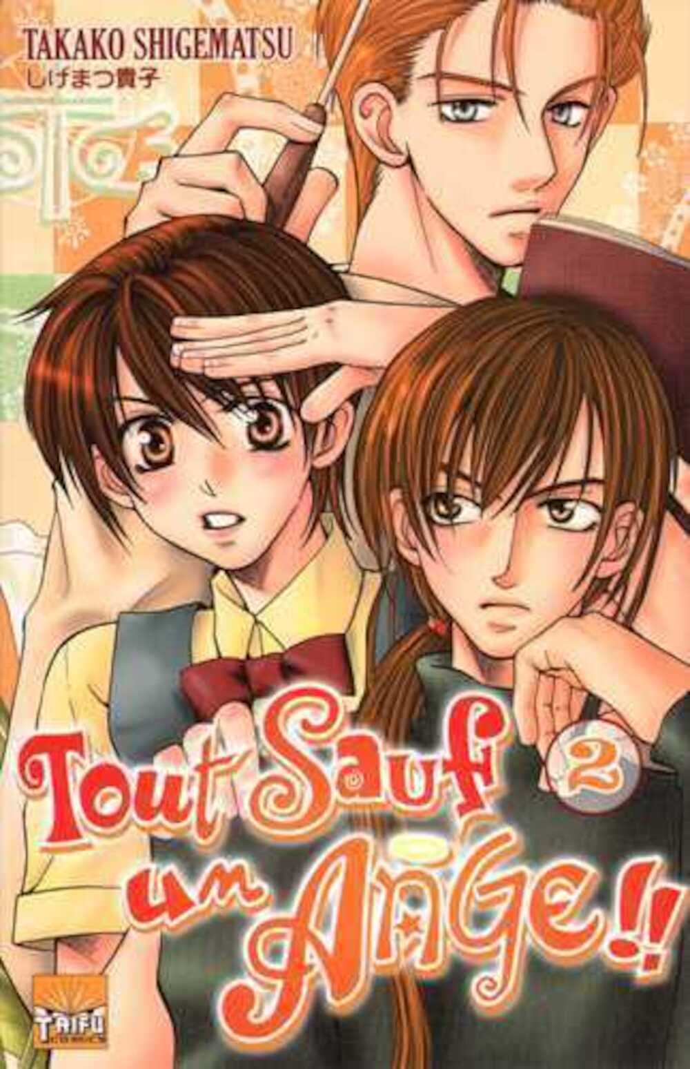 Tout sauf un ange Vol.2 book