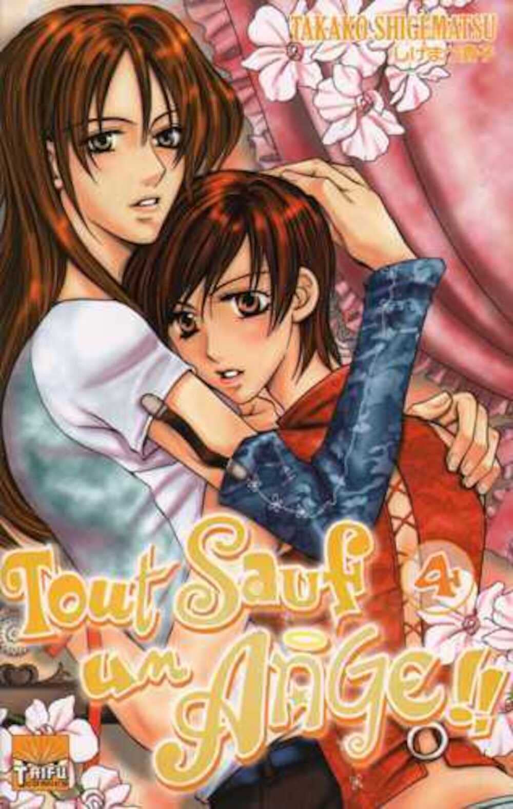 Tout sauf un ange Vol.4 book