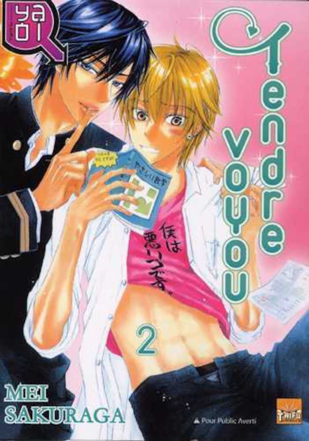 Tendre voyou T02 book
