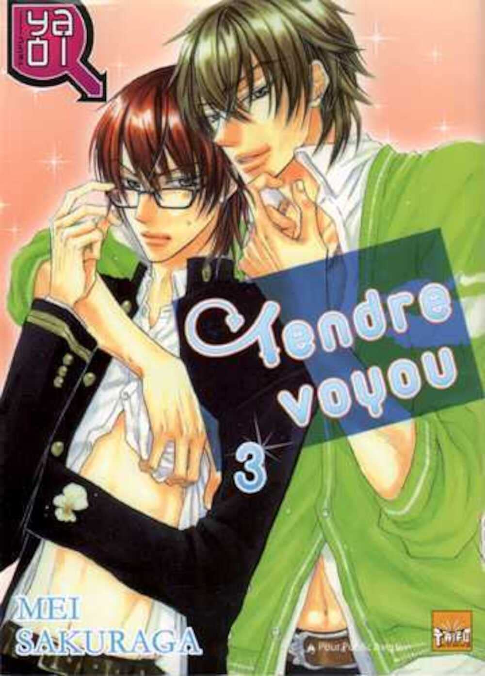 Tendre voyou T03 Manga