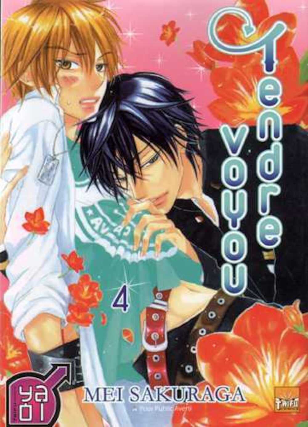 Tendre voyou T04 book