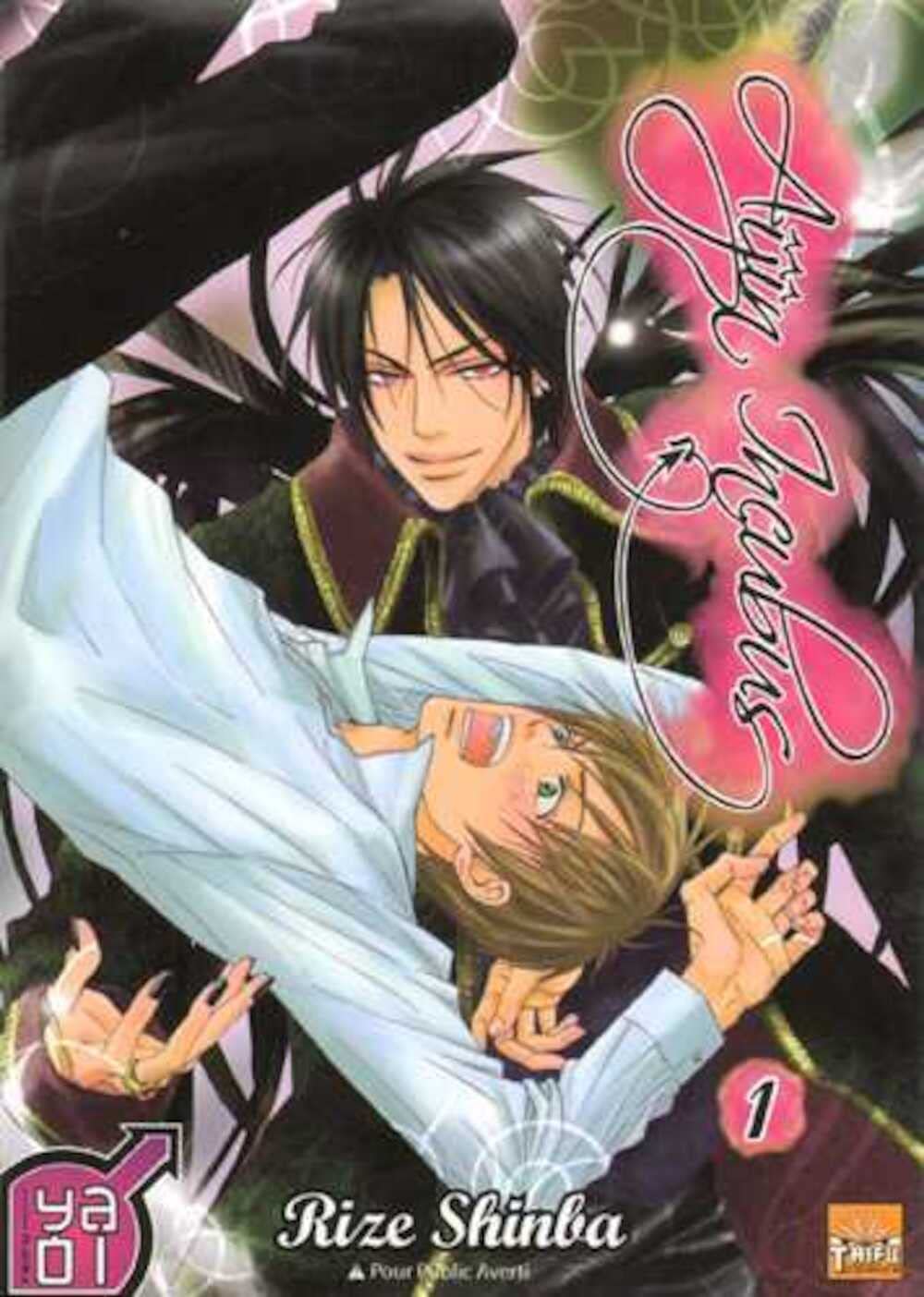 Aijin Incubus T02 book