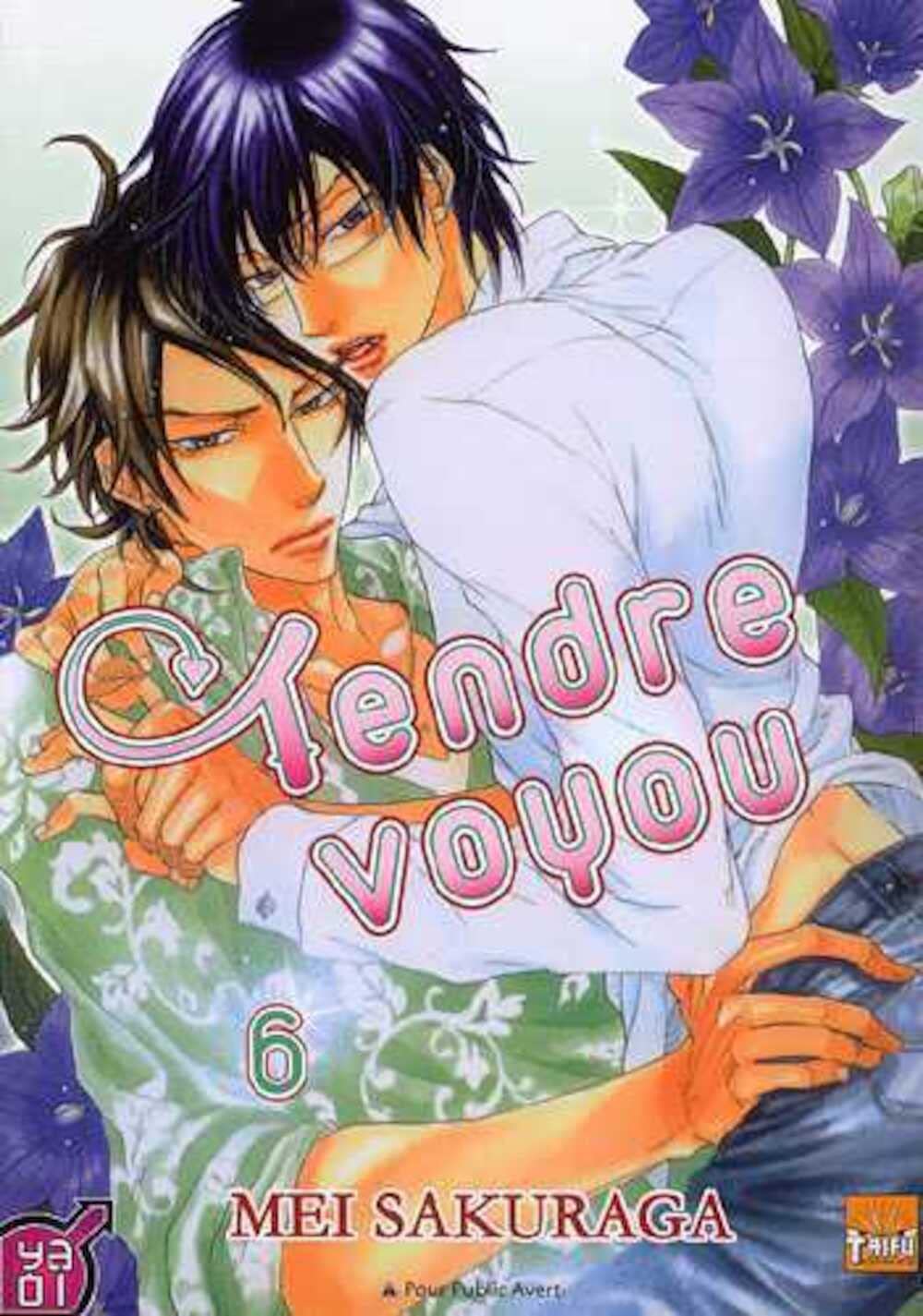 Tendre voyou T06 book