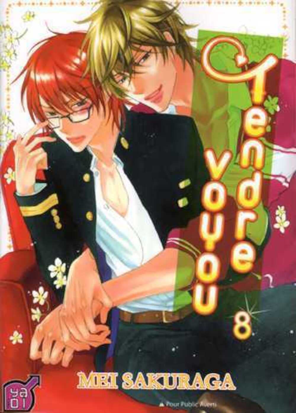 Tendre voyou T08 Manga