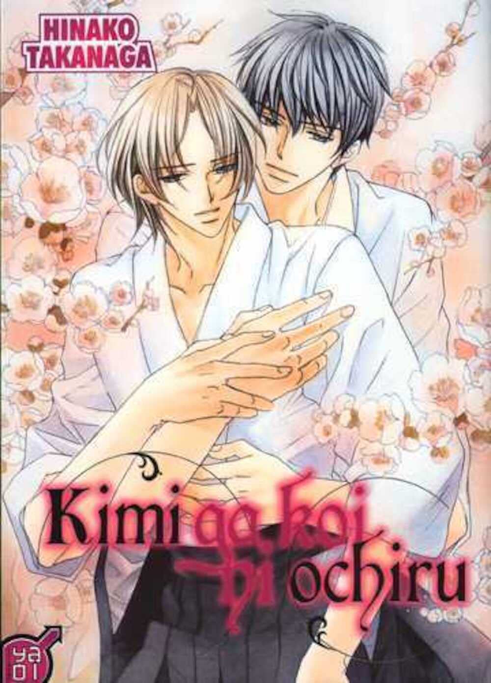Kimi ga koi ni ochiru Manga