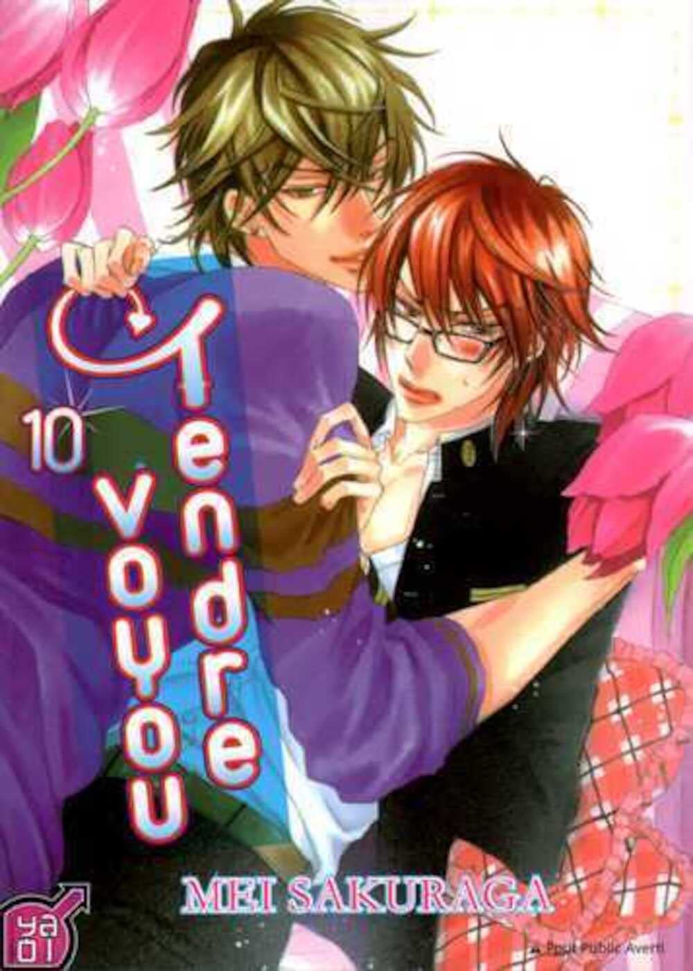 Tendre voyou T10 Manga