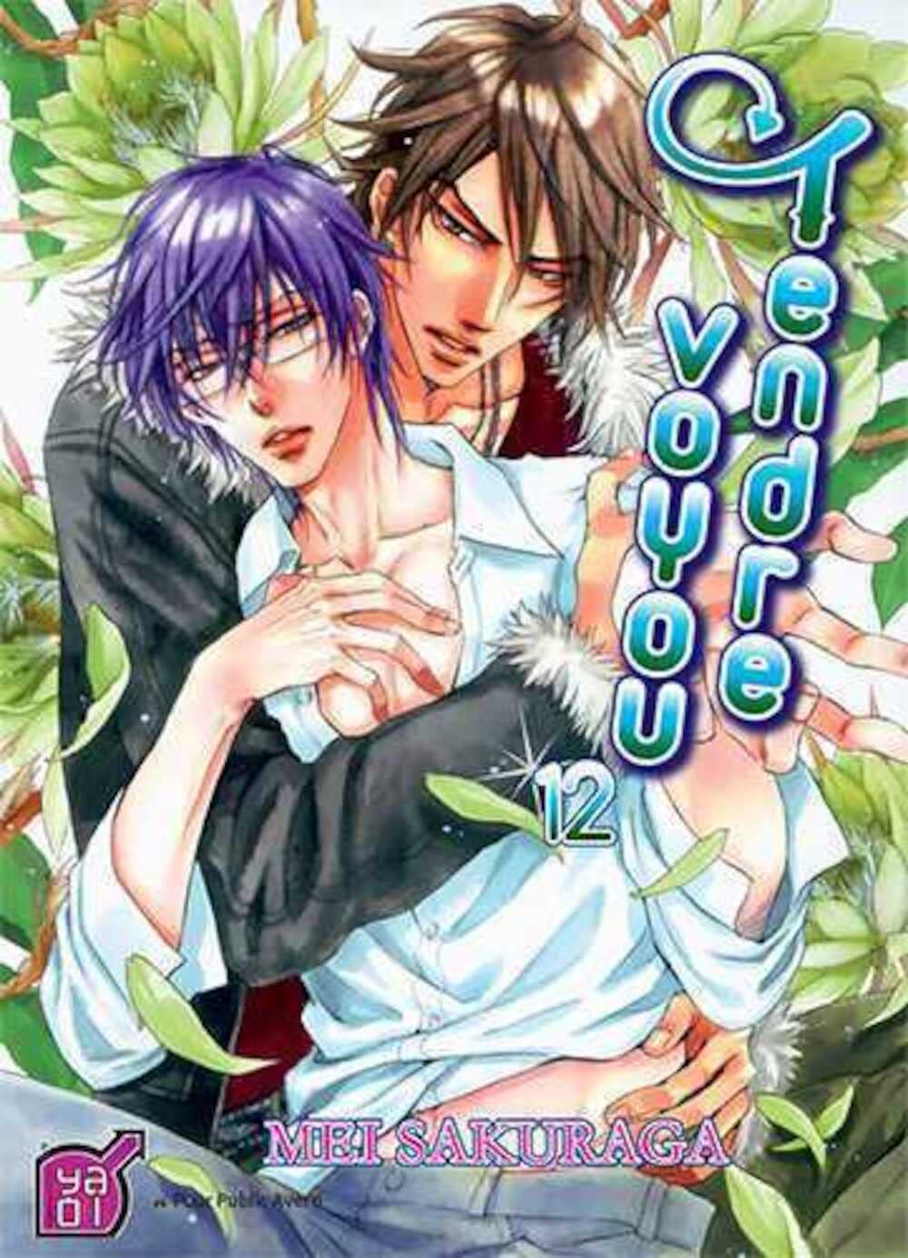 Tendre voyou T12 Manga