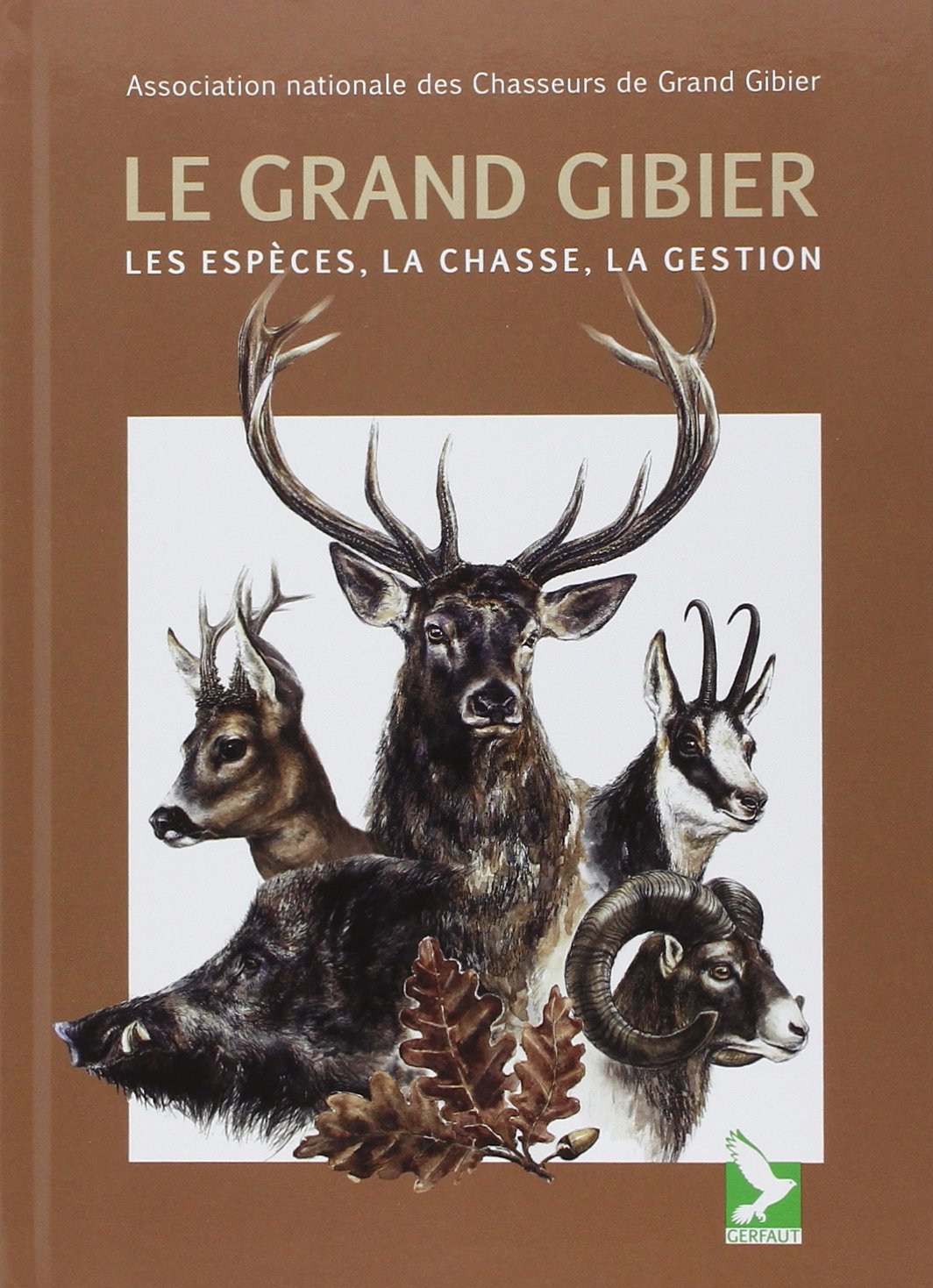 Le grand gibier: Les espèces, la chasse, la gestion Leisure & Fun