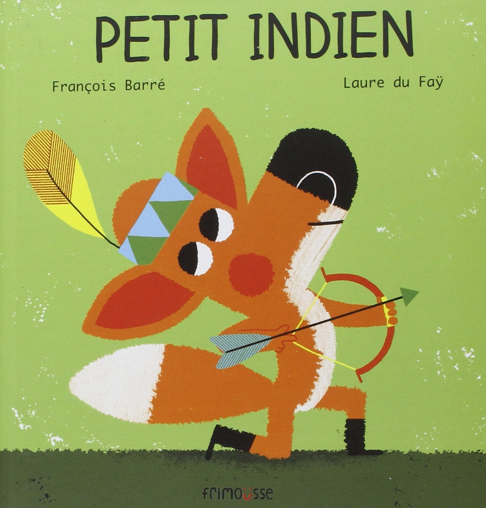 Le Petit Indien book