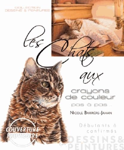 Les chats aux crayons de couleur - débutants à confirmés Books