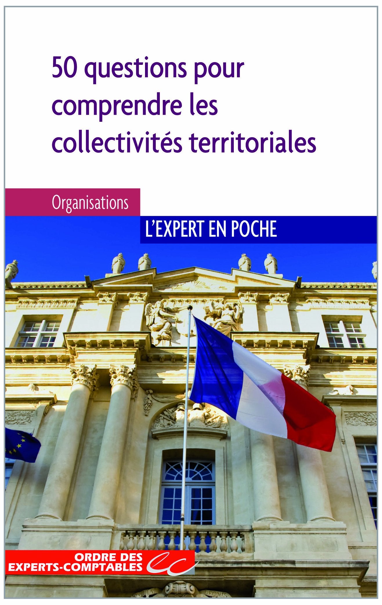 Les collectivités territoriales: 50 question pour comprendre et mieux agir book