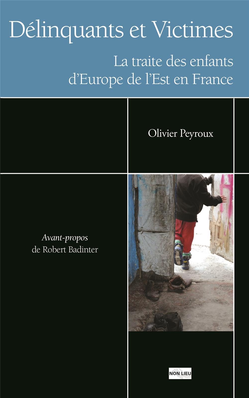 Délinquants et victimes: La traite des enfants d'Europe de l'Est en France Contemporary literature Books