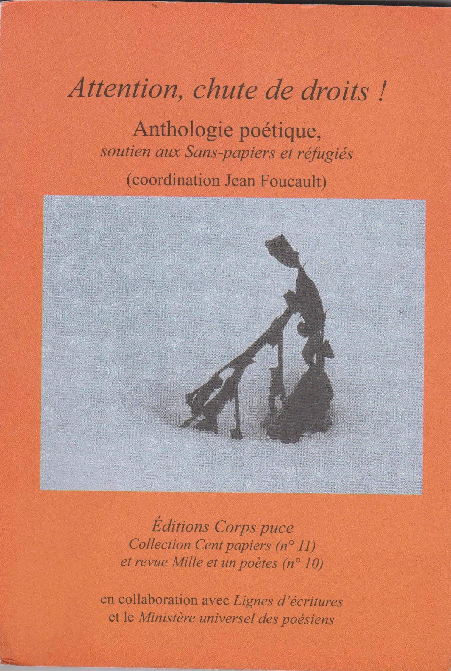 Attention, chute de droits ! Anthologie poétique, soutien aux sans-papiers et réfugiés book