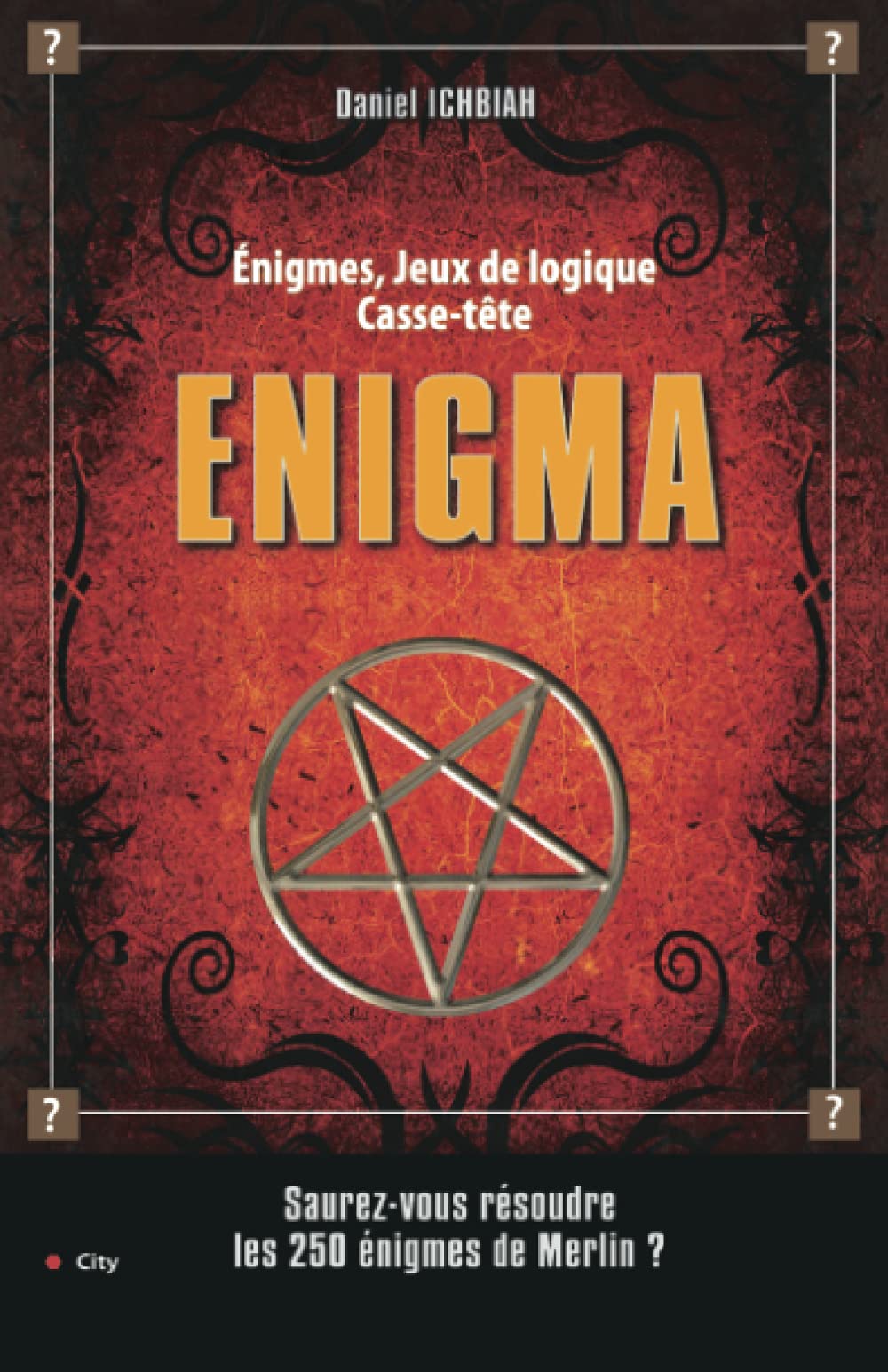 Enigma: 250 Enigmes, jeux de logique, casse-tête Contemporary literature