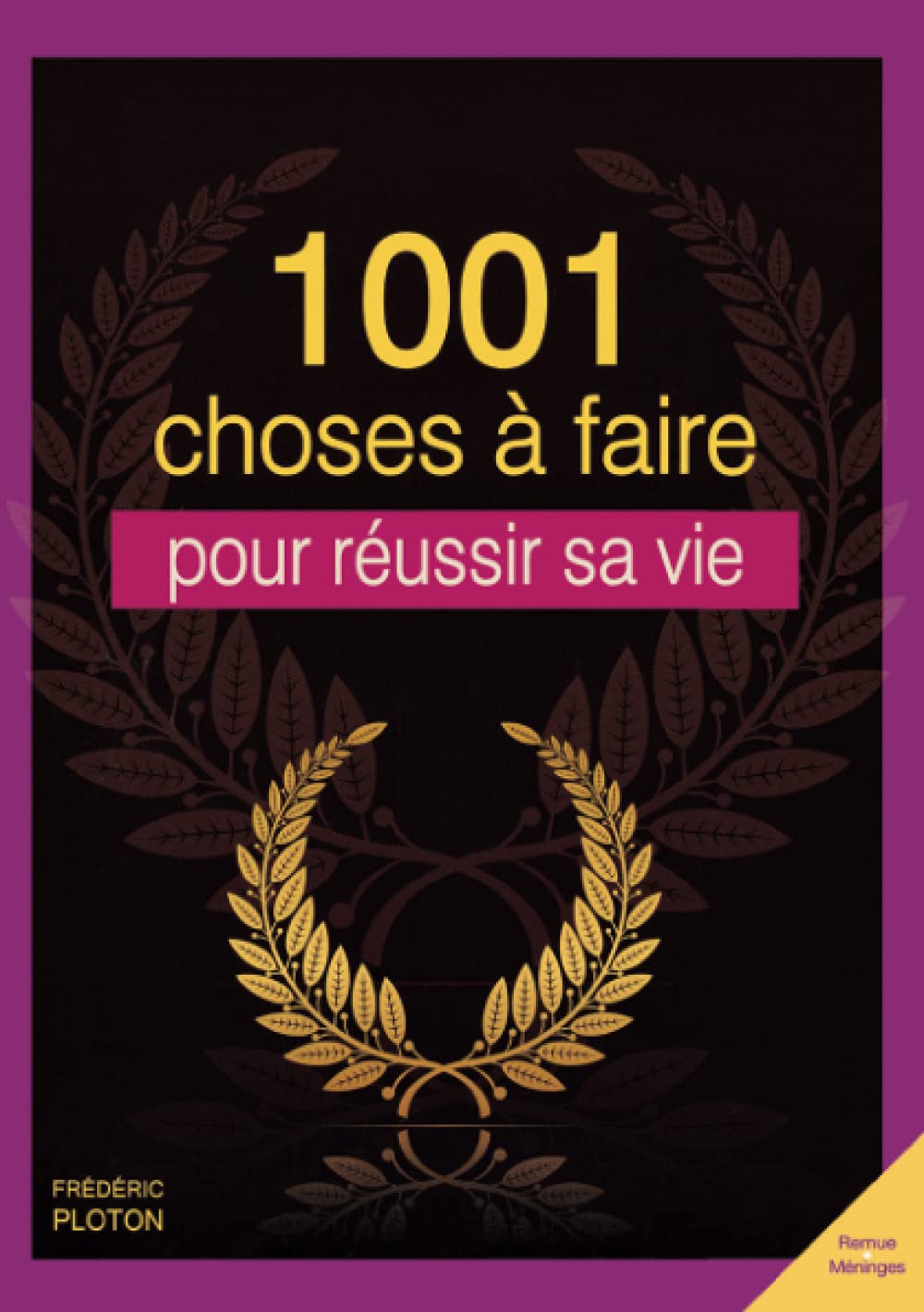 1001 CHOSES A FAIRE POUR REUSSIR SA VIE book