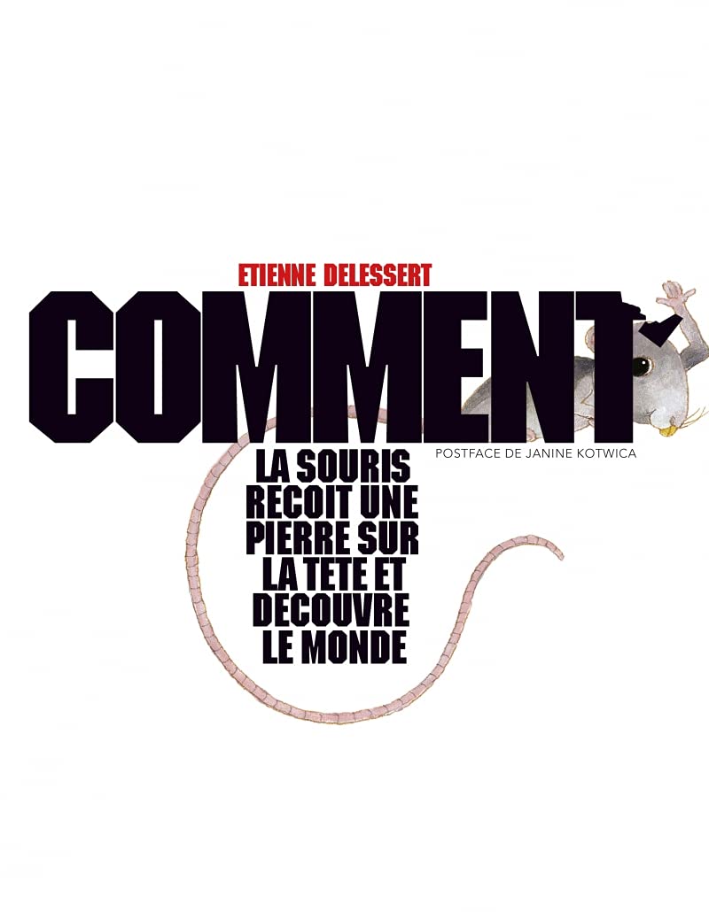 Comment la souris reçoit une pierre sur la tête et découvre le monde book