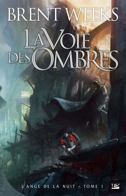 L'ange de la nuit. Vol. 1. La voie des ombres Contemporary literature