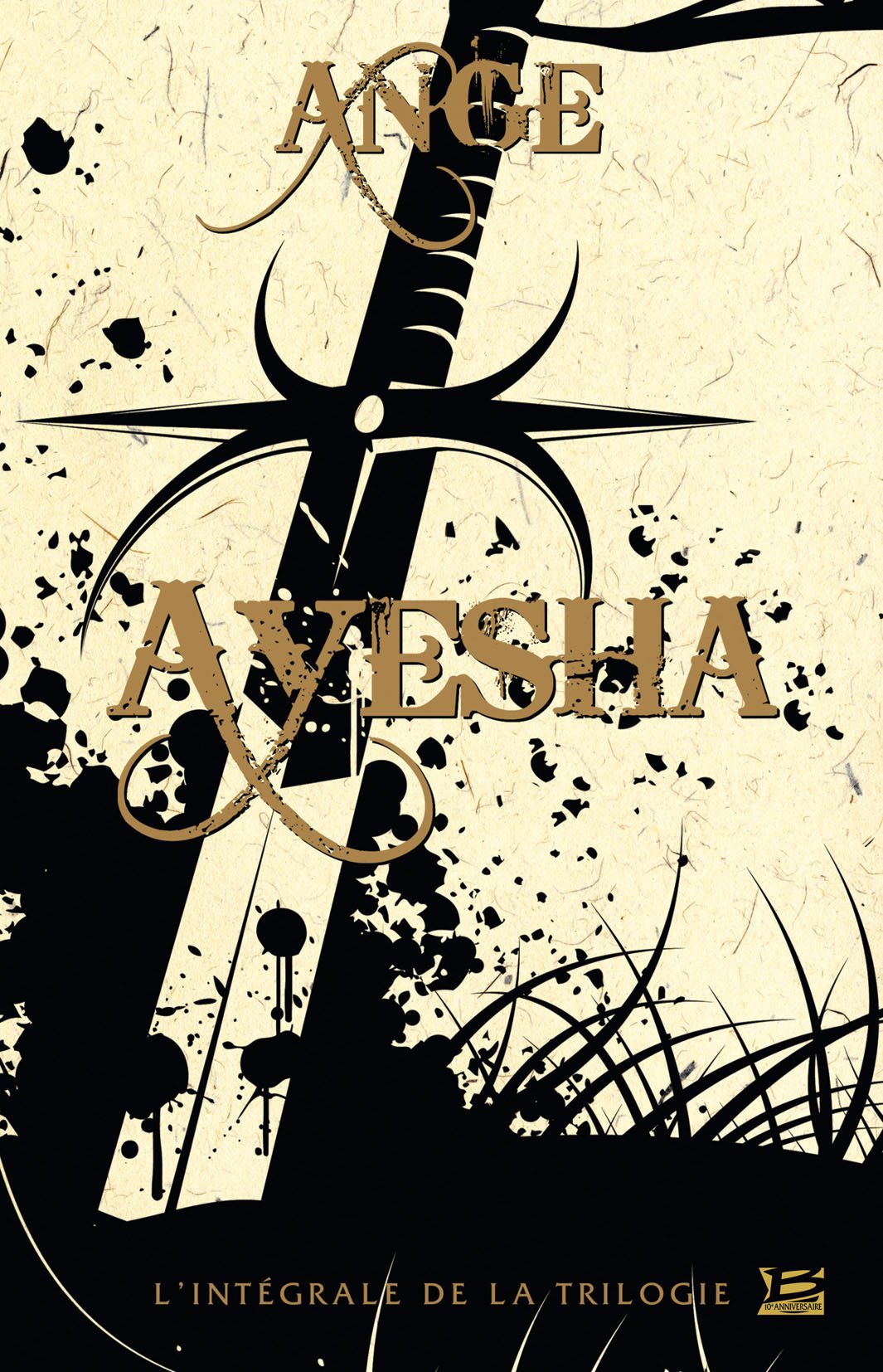 10 ANS - 10 ROMANS - 10 EUROS, tome : Ayesha book