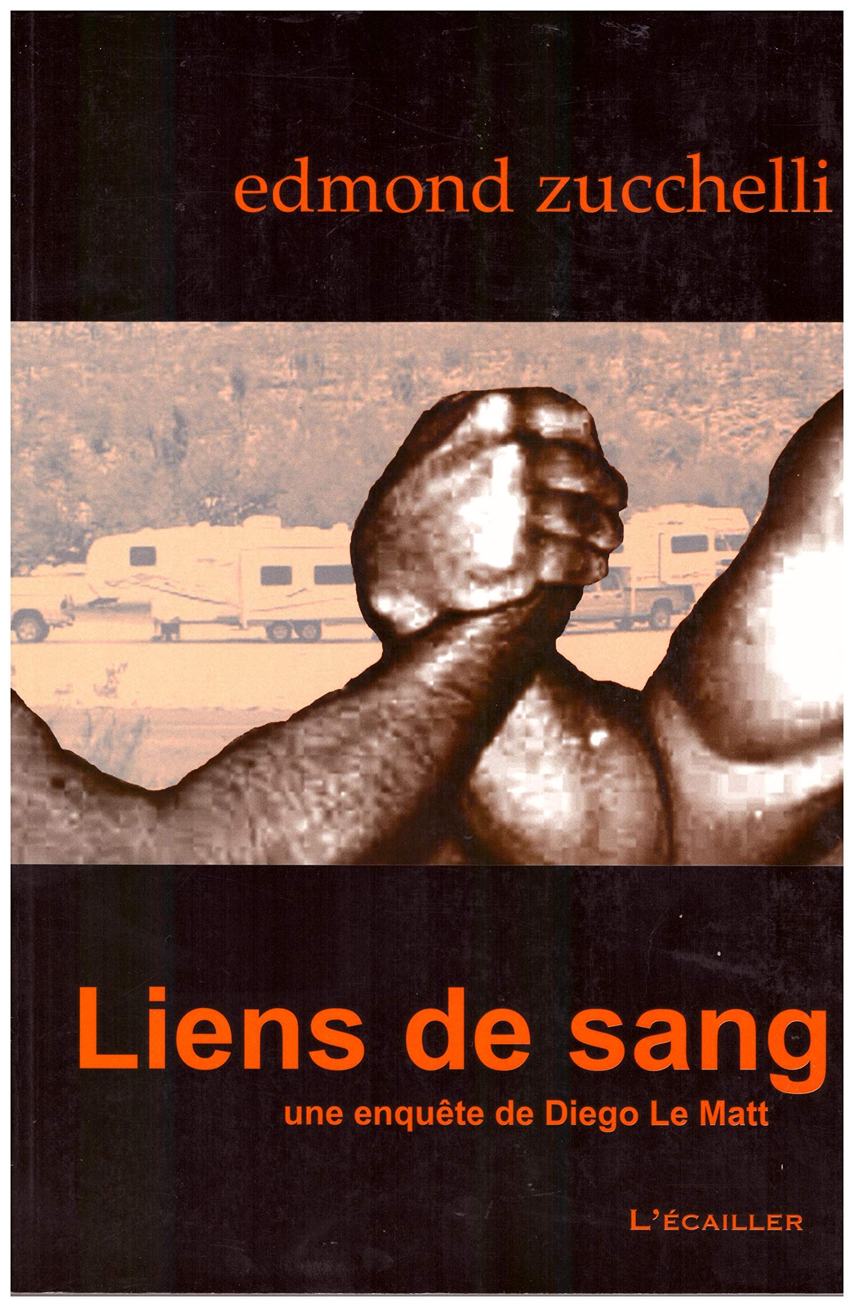 Liens de sang: Une enquête de Diego Le Matt book