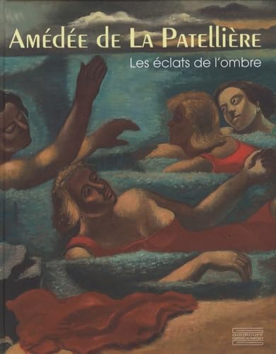 Amédée de la Patellière, les éclats de l'ombre book