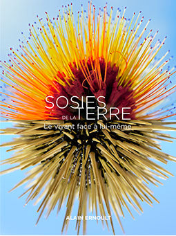 Sosies de la Terre : le vivant face à lui-même. Double vision : mirror images in nature Photography