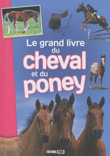 grand livre du cheval et du poney (le) (0) book
