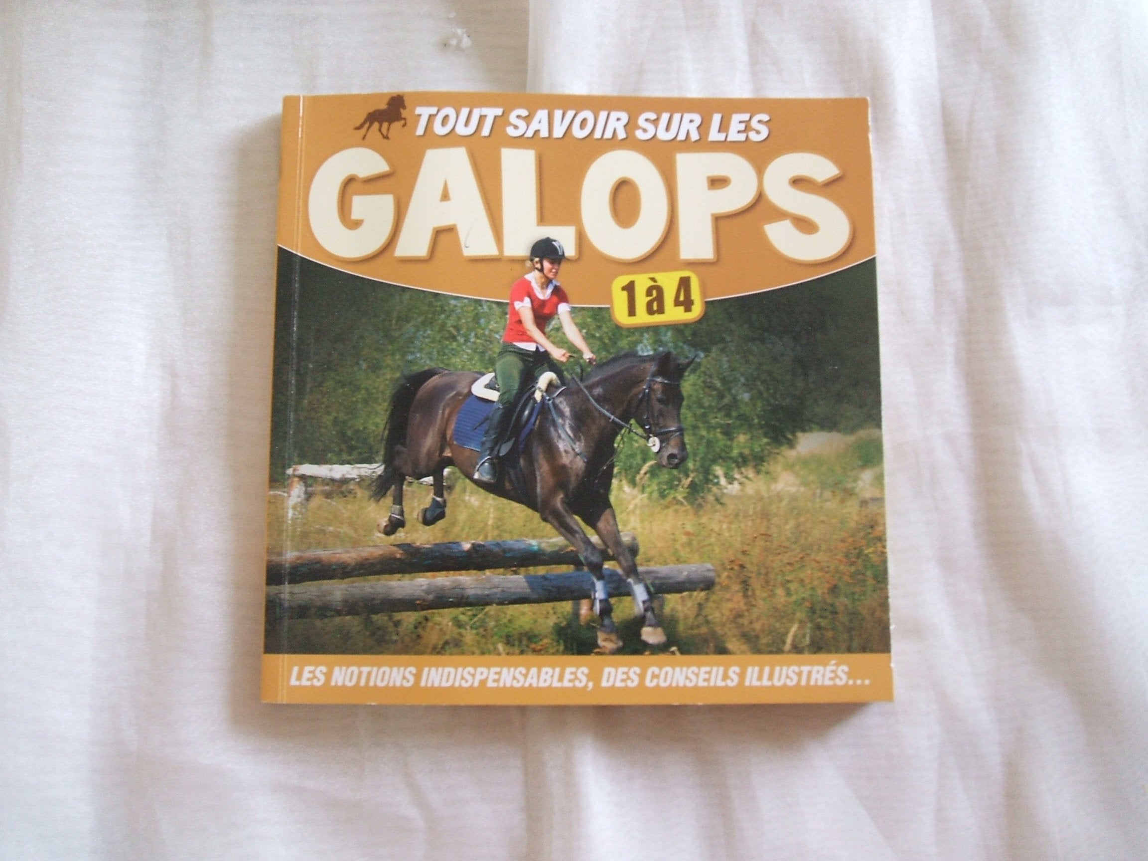 tout savoir sur les galops 1 a 4* (0) book