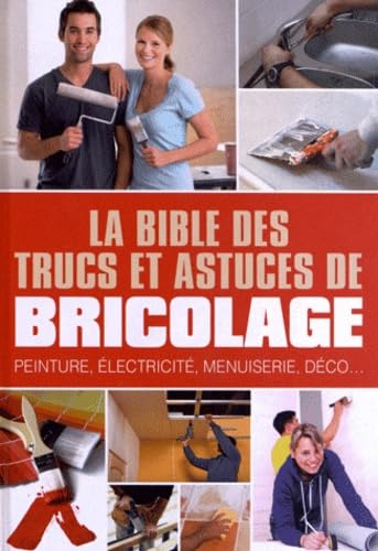 bible des trucs et astuces de bricolage (la)* (0) book