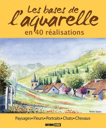 bases de l aquarelle en 40 realisations* (0) book