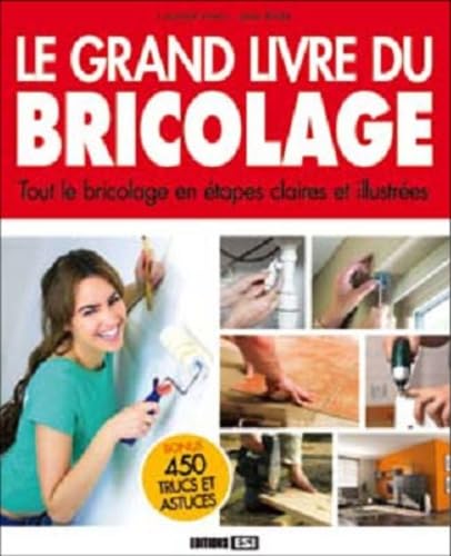 grand livre du bricolage (le)* (0) book