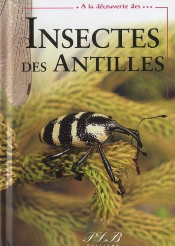 A LA DECOUVERTE DES INSECTES DES ANTILLES Leisure, Home & Garden