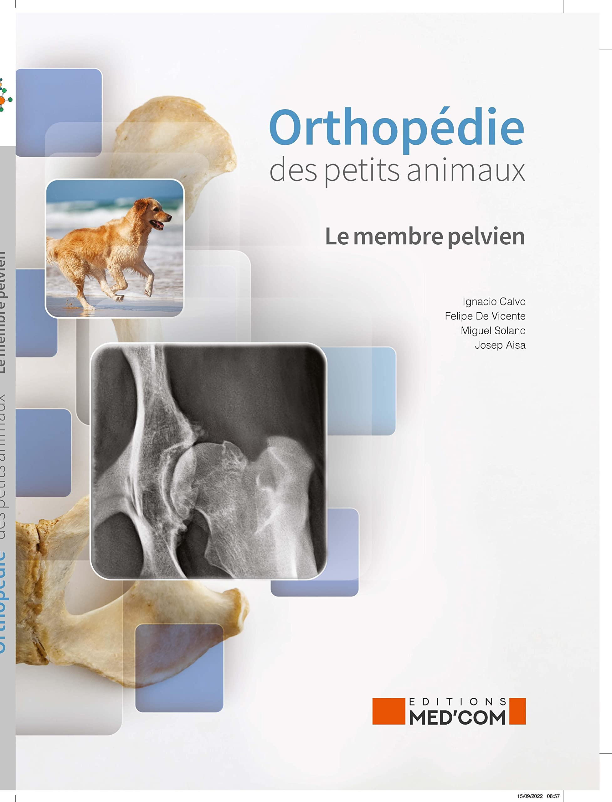 ORTHOPEDIE DES PETITS ANIMAUX: LE MEMBRE PELVIEN book