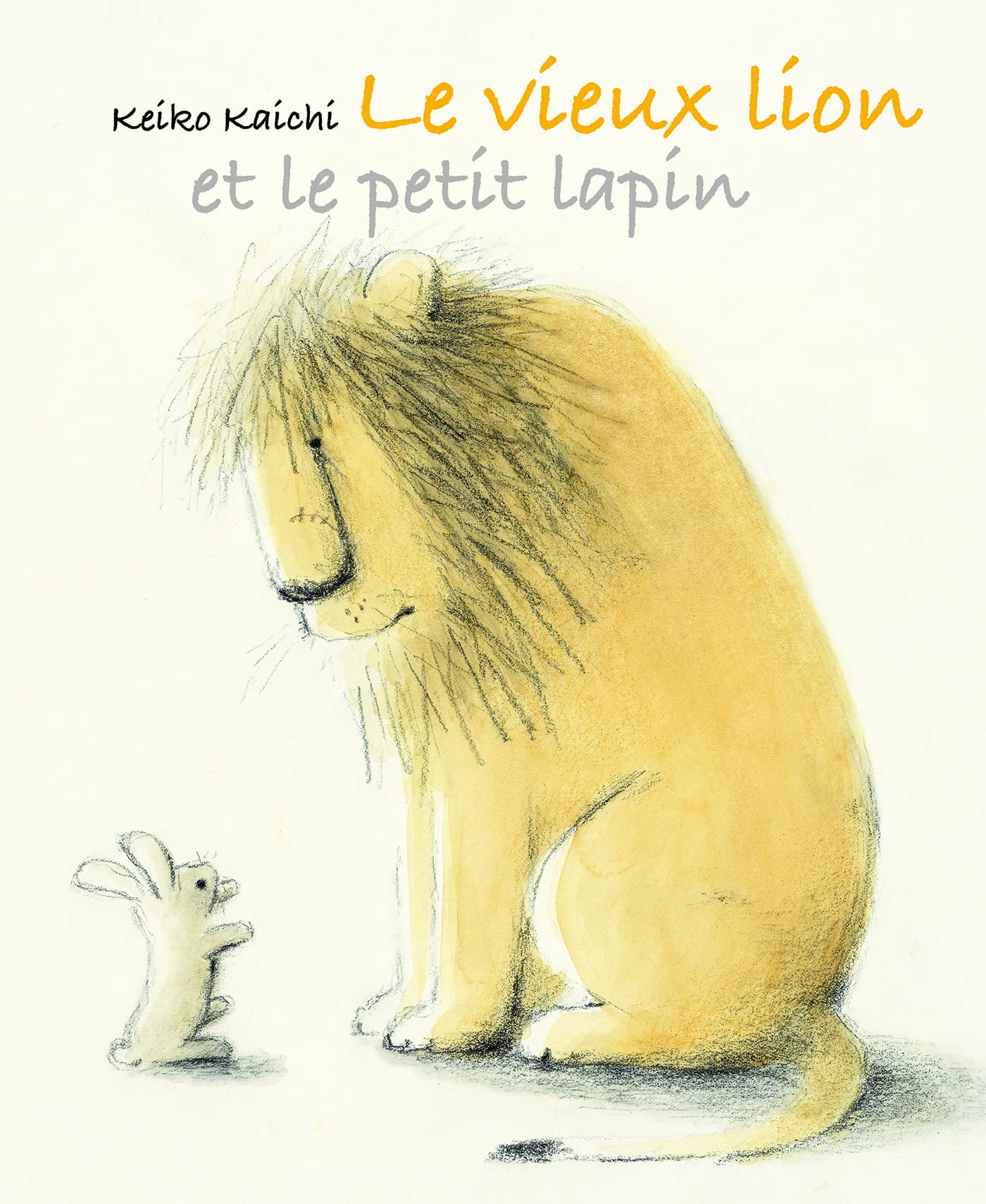VIEUX LION ET LE PETIT LAPIN (LE) book