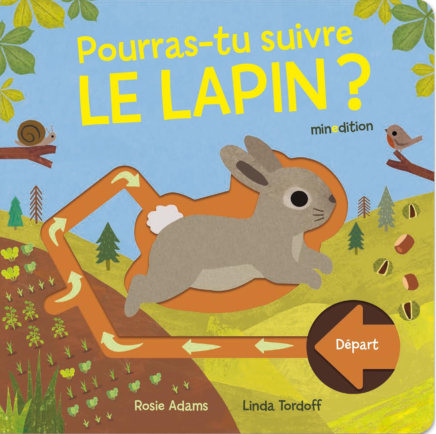 Pourras tu suivre le lapin ? book