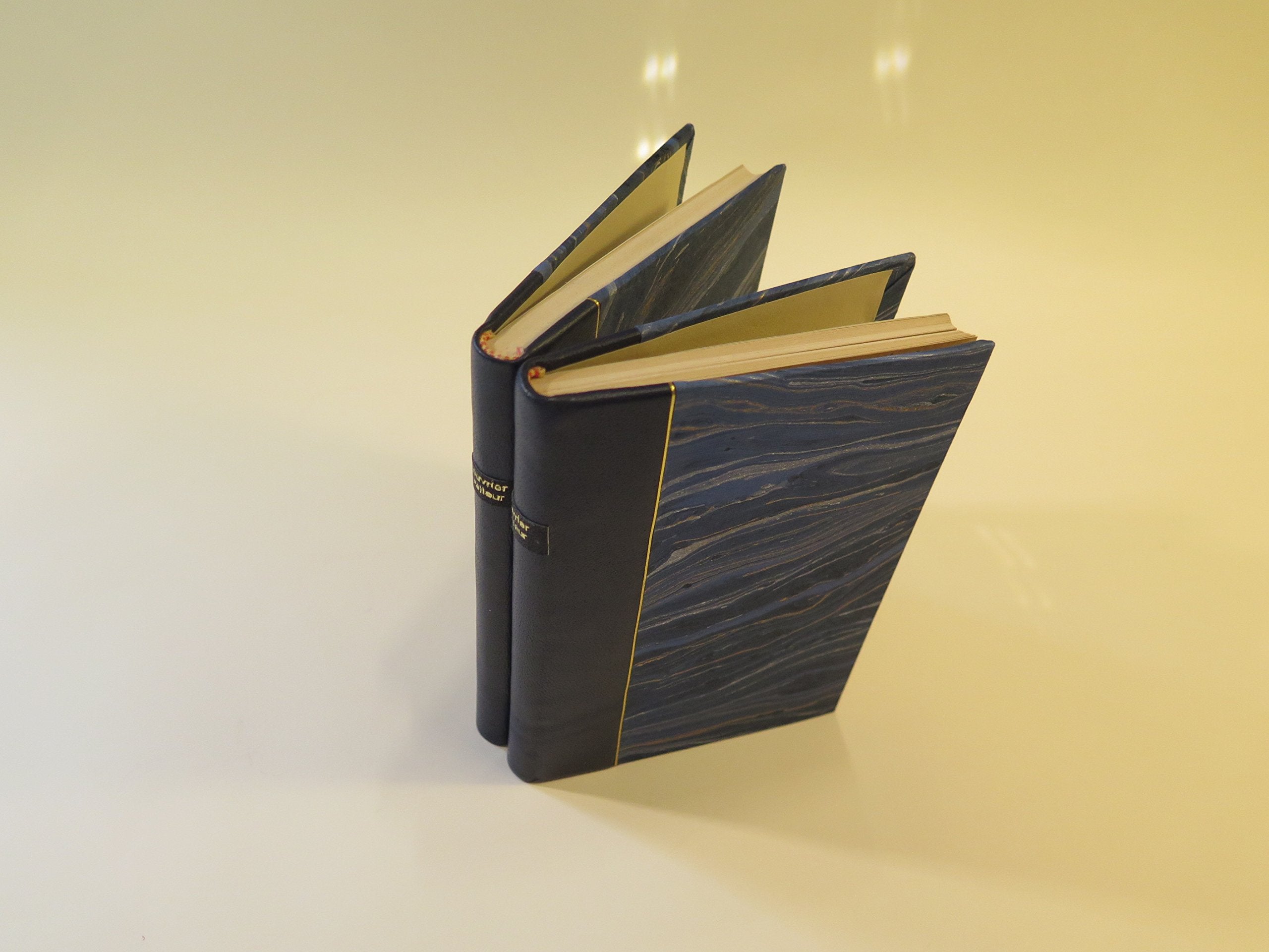 Manuel pratique de l'ouvrier relieur: Tome 2 book