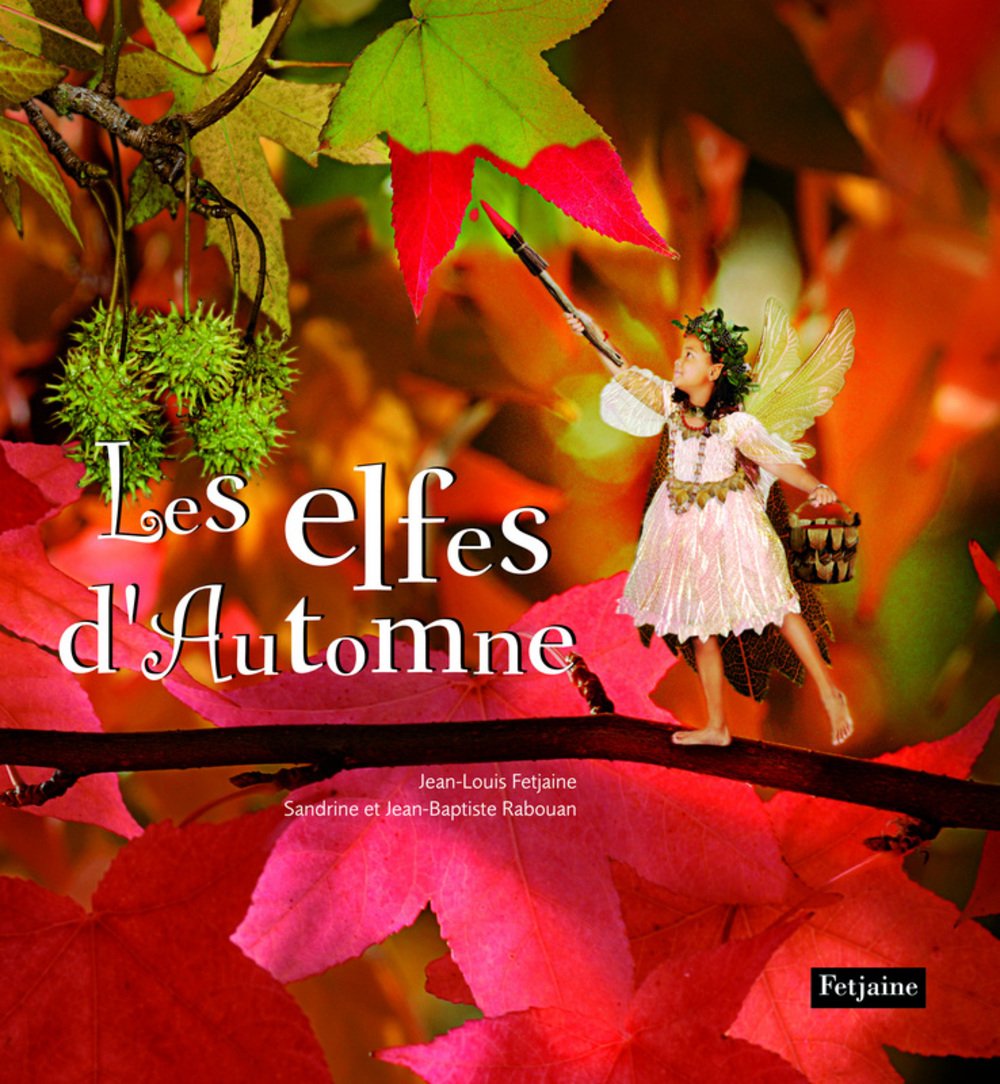 Les elfes d'Automne book