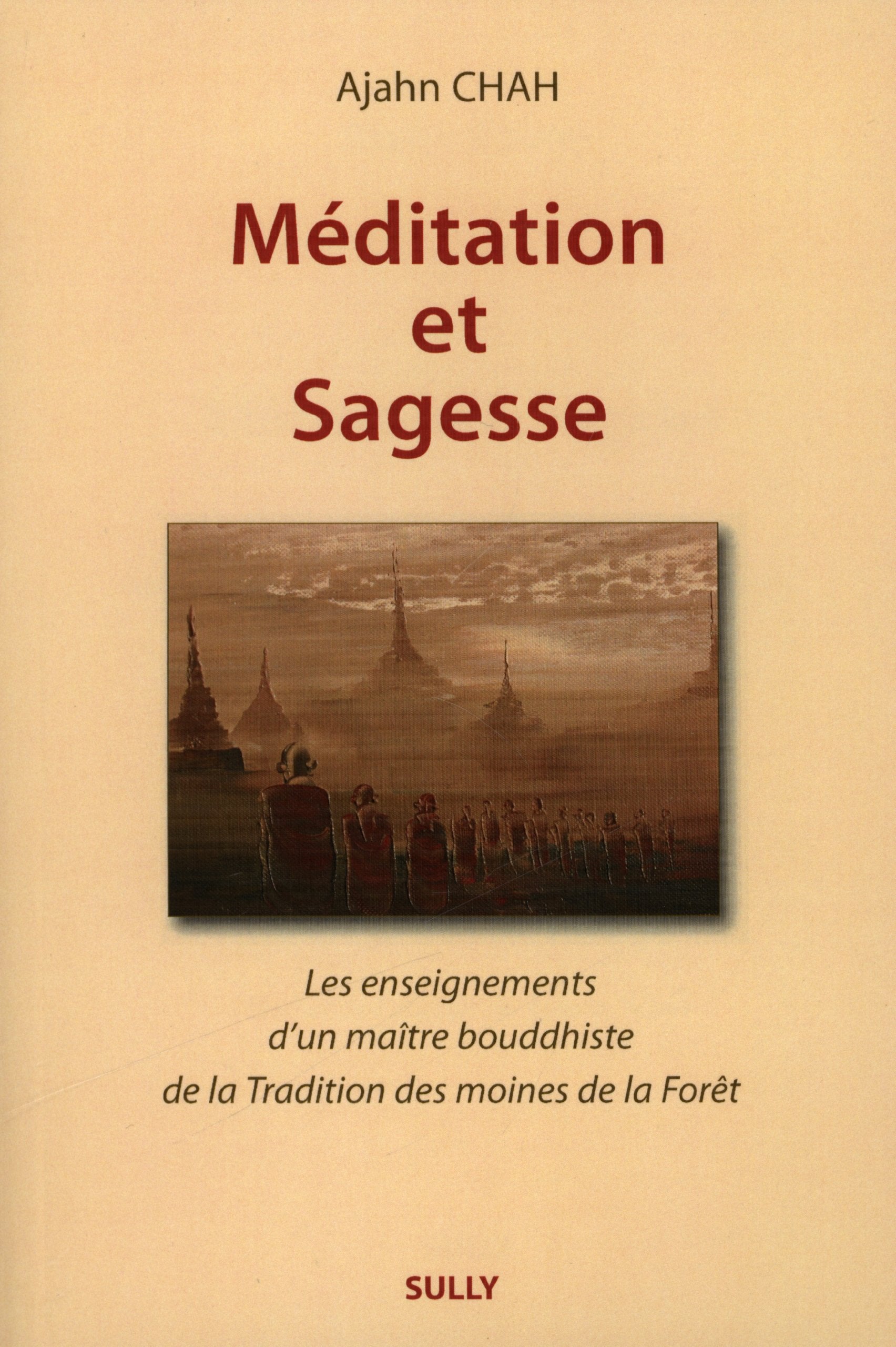 Méditation et sagesse: Les enseignements d'un Maître bouddhiste, de la tradition des moines forêt book
