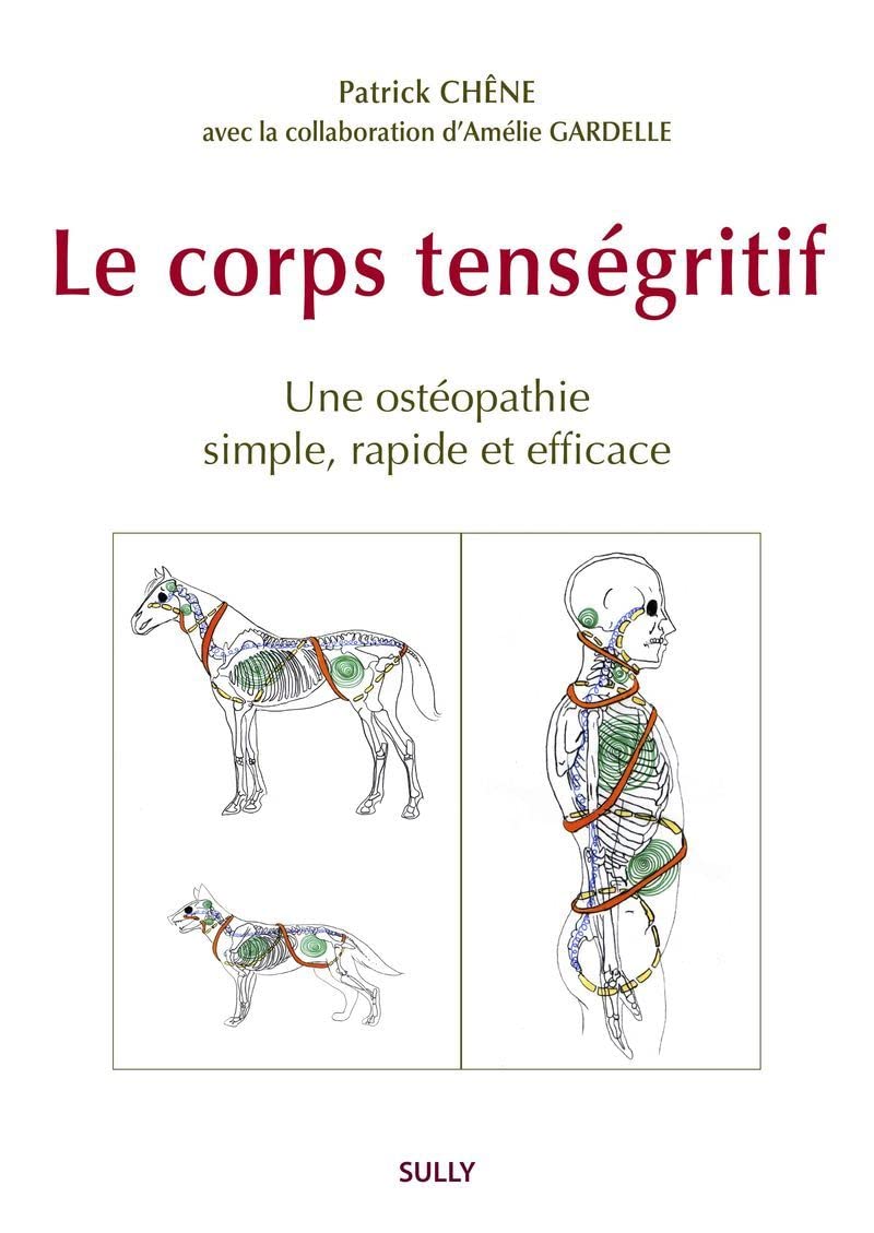 Le corps tenségritif: Un ostéopathie simple, rapide et efficace book