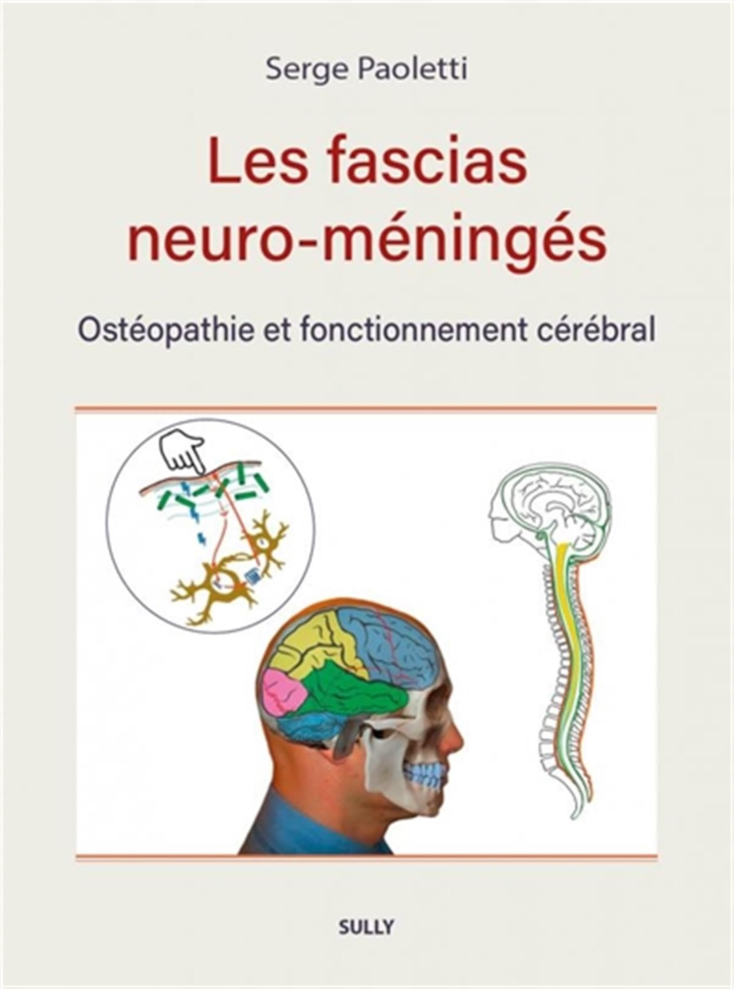 Les fascias neuro-méningés: Ostéopathie et fonctionnement cérébral Medicine