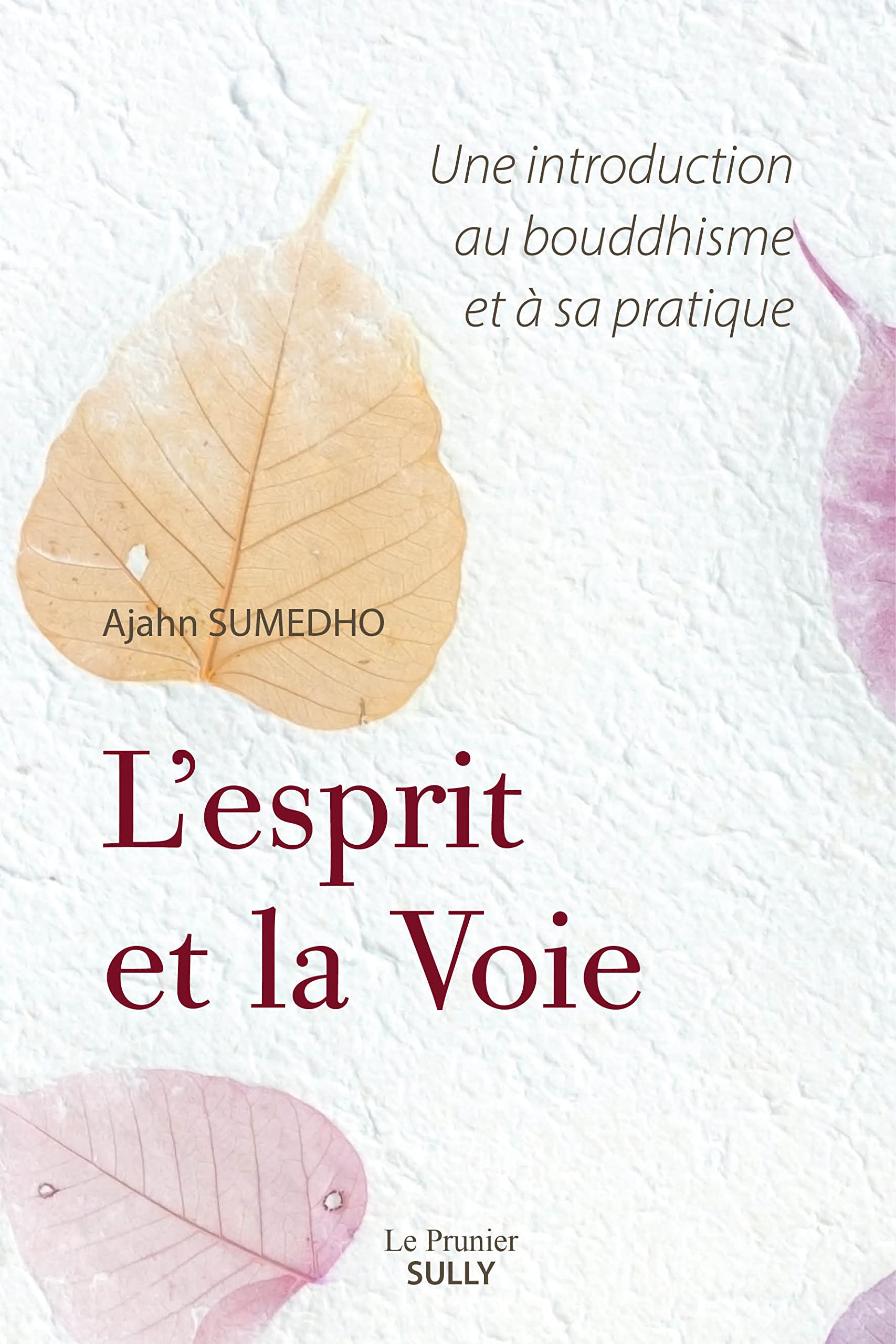 L'esprit et la Voie: Une introduction au bouddhisme et à sa pratique book