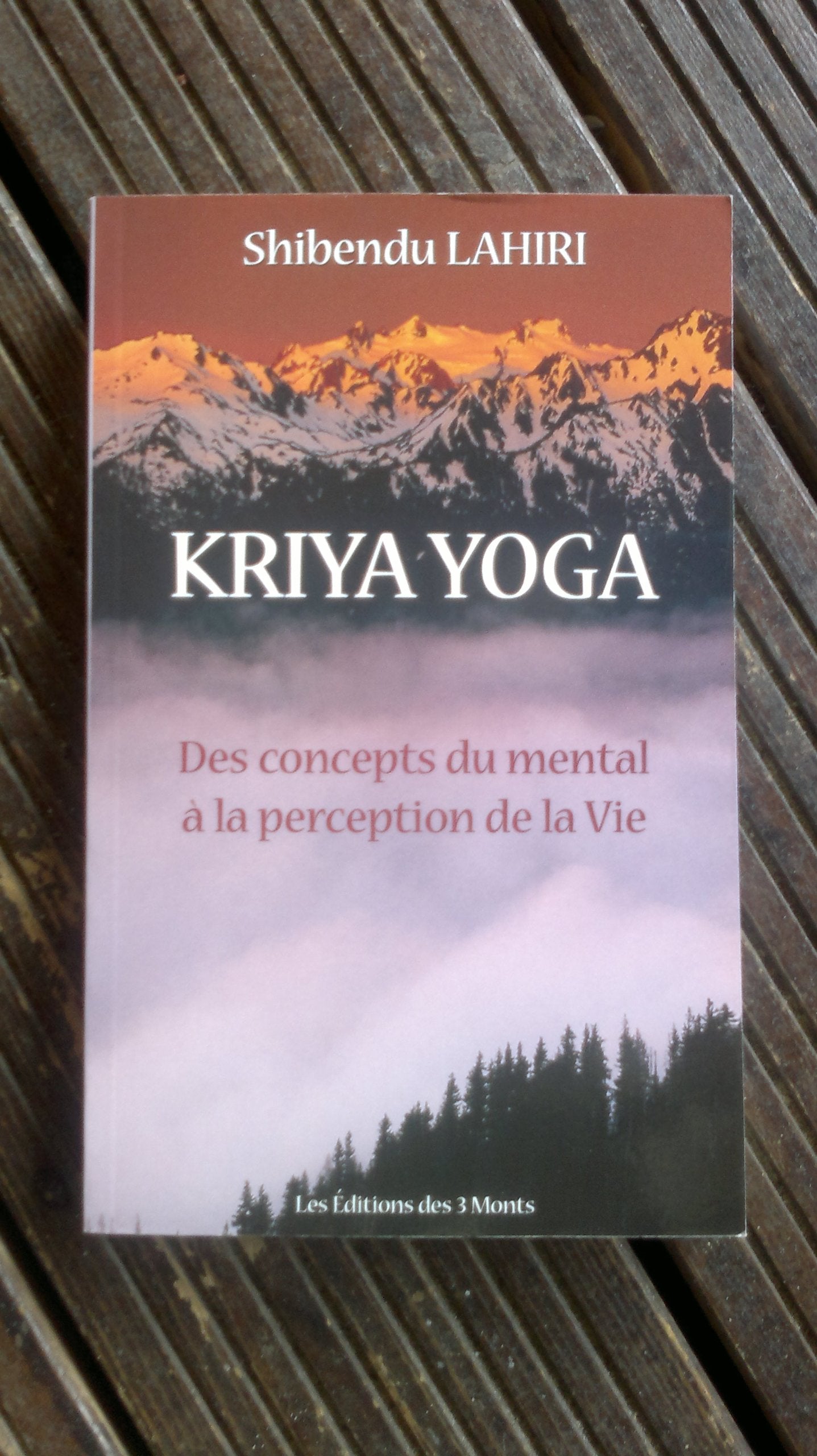 Kriya Yoga - Concepts du mental à la perception de la vie book