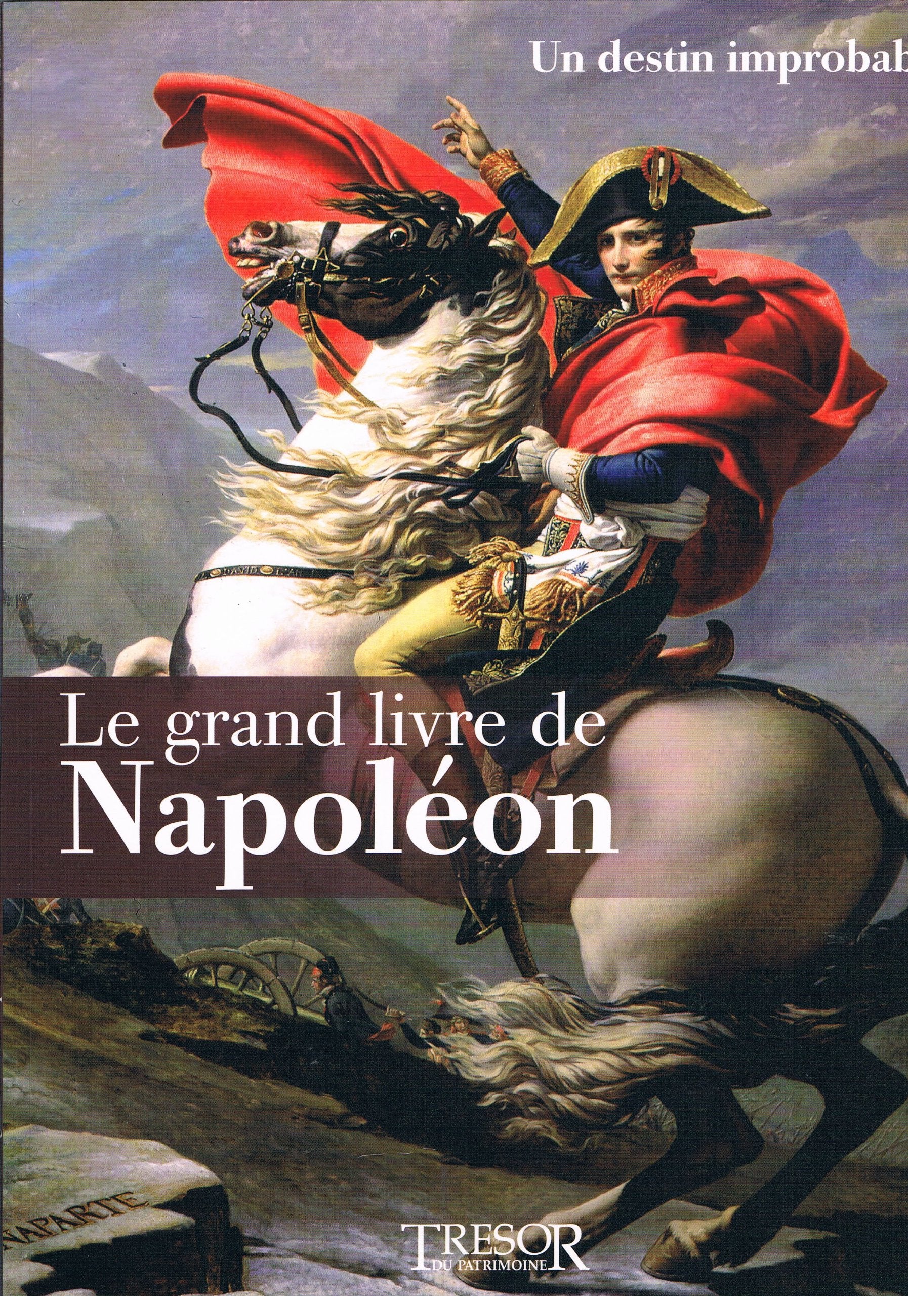 Le Grand Livre de Napoléon 1: Un Destin Improbable Books