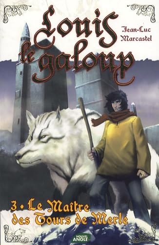 Le Maître des Tours de Merle book