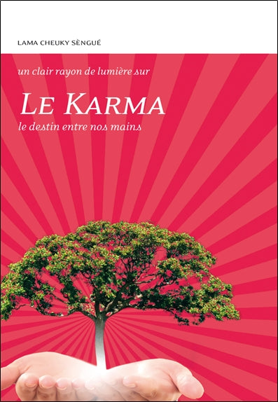 Le karma : le destin entre nos mains Religion & Esotericism