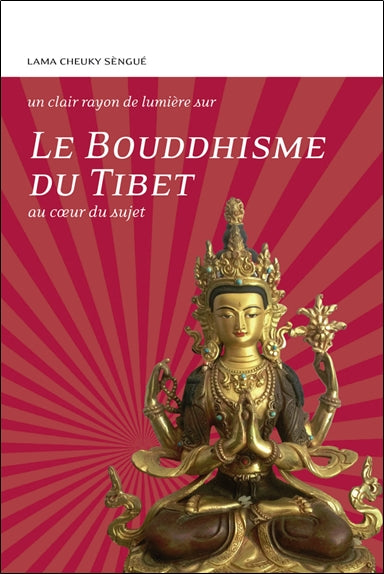 Le bouddhisme du Tibet : au coeur du sujet Religion & Esotericism